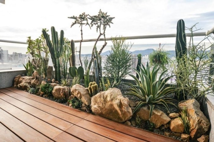 潮濕環境植物 潮濕環境植物