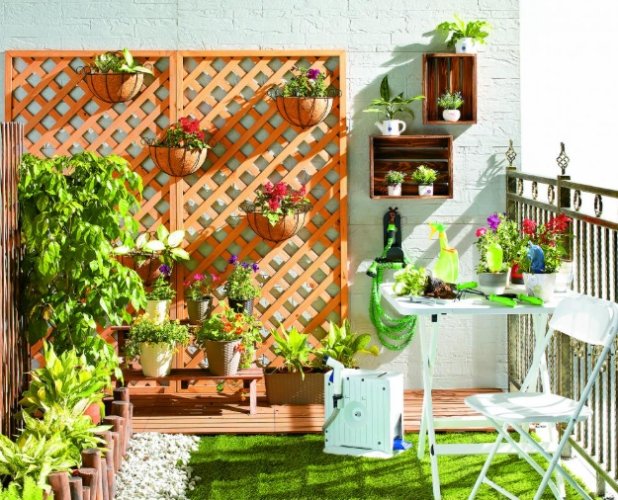 潮濕環境植物 潮濕環境植物