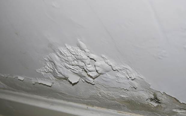 牆身除霉劑推薦