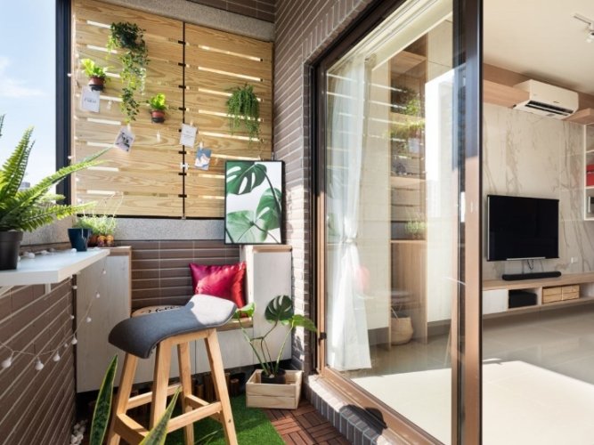 台灣耐濕植物 台灣耐濕植物