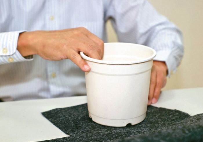 盆栽移植注意事項