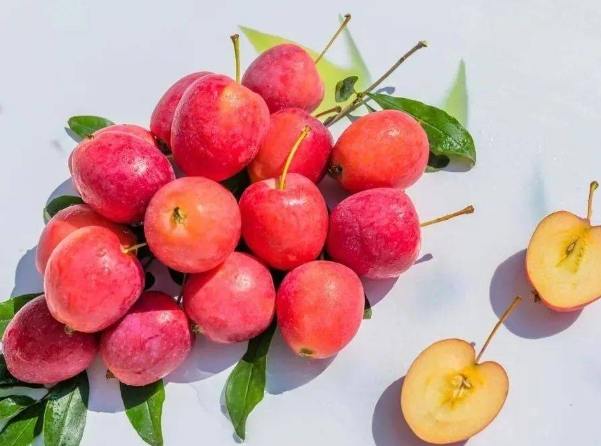 海棠果好處 海棠果好處