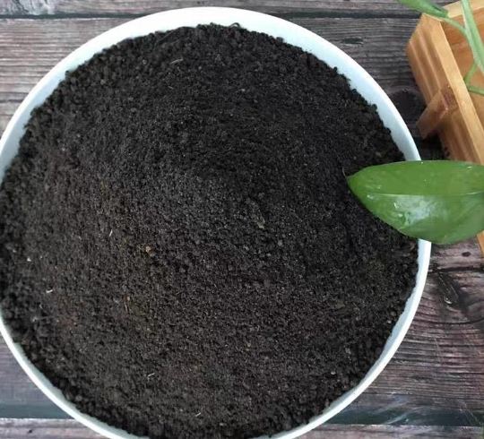 多肉植物土壤配方