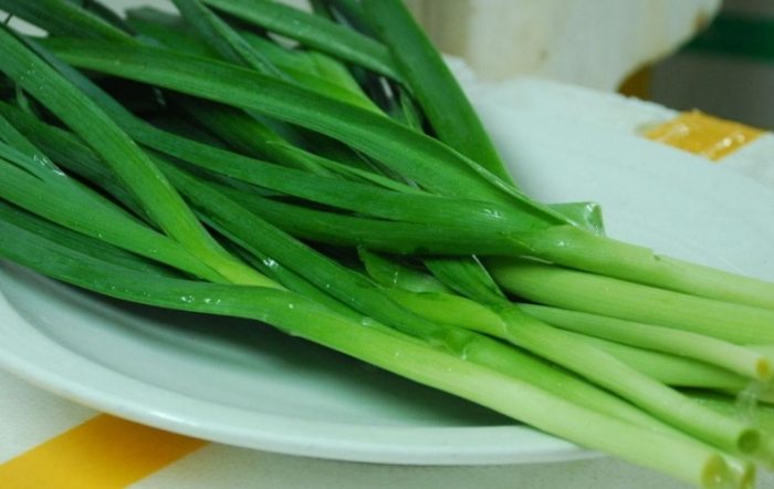 小蒜苗營養 小蒜苗營養