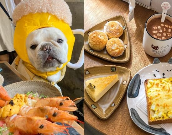 台南寵物友善咖啡廳