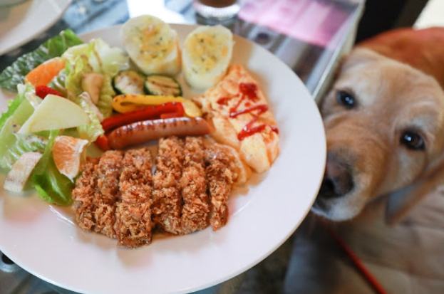 台南寵物友善餐廳