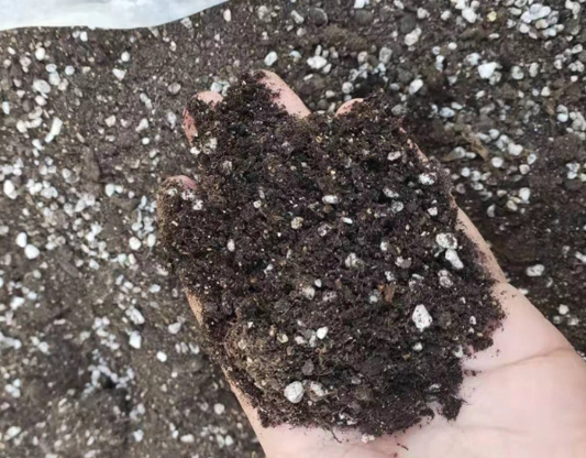 腐植土泥炭土 腐植土泥炭土