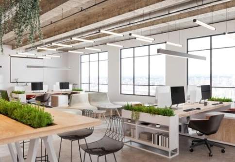 適合辦公室的植物