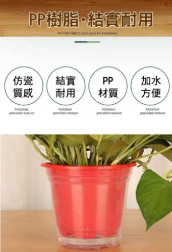 自動吸水花盆 優缺點 自動吸水花盆 優缺點