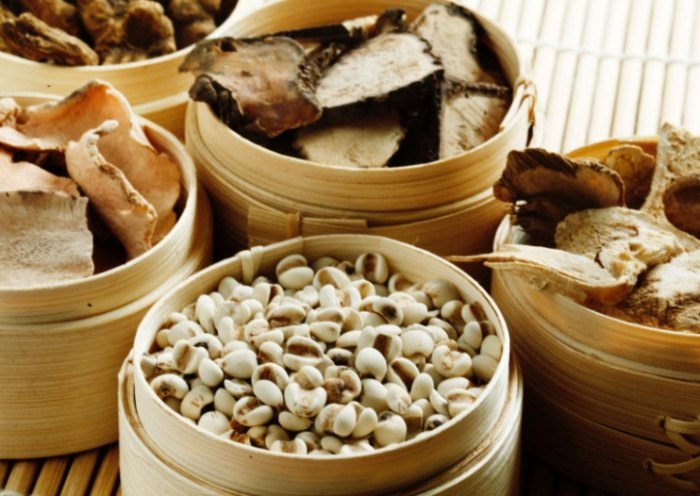 六君子湯安全使用 六君子湯安全使用