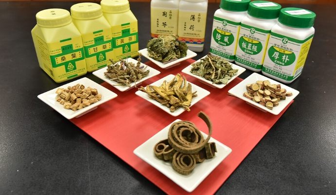 科學中藥六君子湯