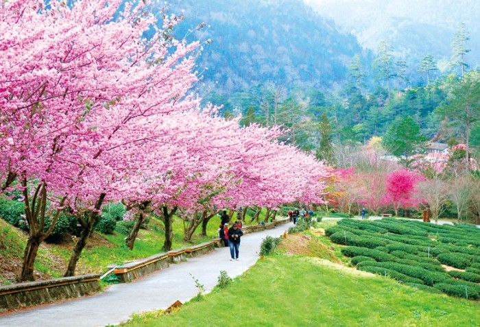 武陵農場兩天一夜