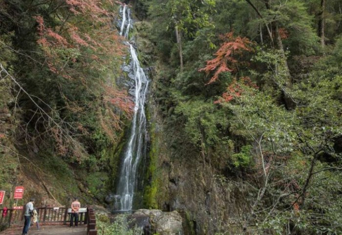 台中和平區景點