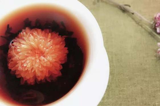 普洱菊花茶飲用方法