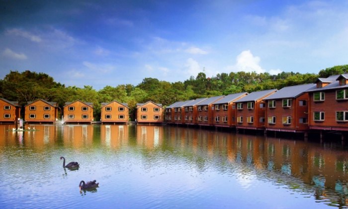 台南親子農場 台南親子農場