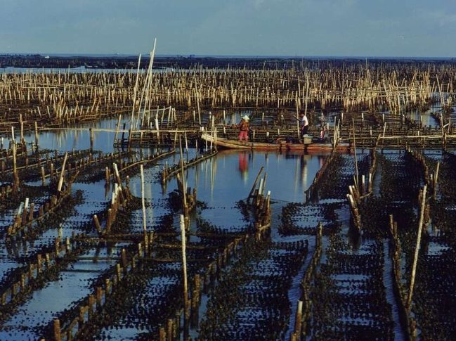 台南蘆竹溝景點