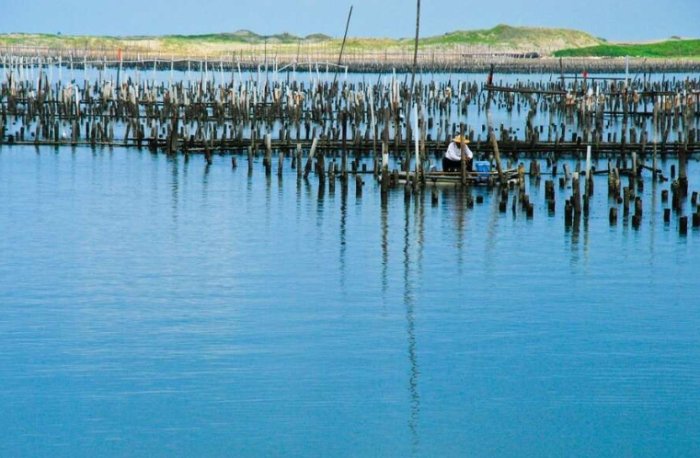 台南蘆竹溝交通