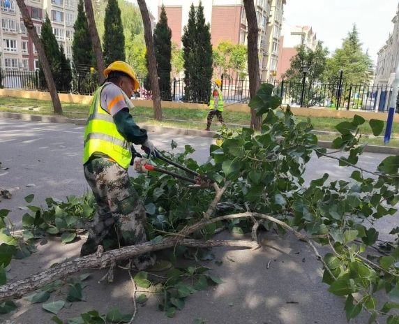 木質化修剪技巧
