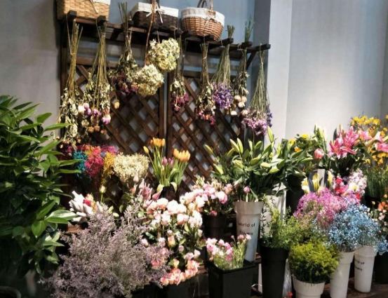 花店花卉種類