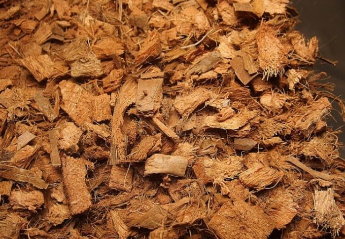 蘭花栽培椰塊使用