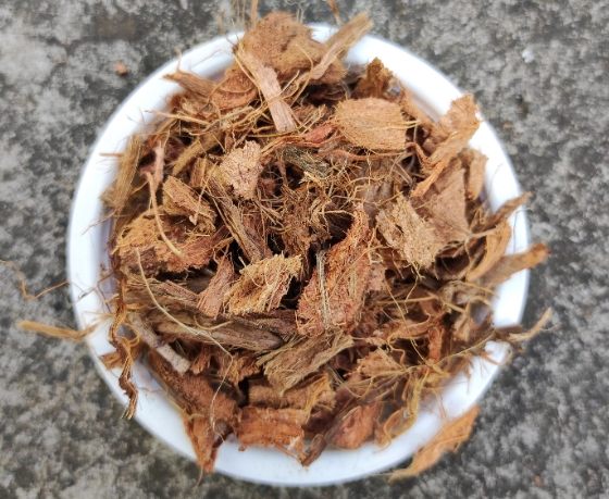 蘭花栽培椰塊使用