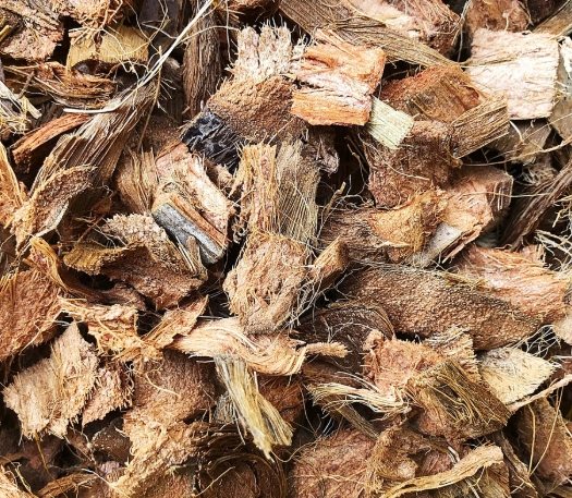 椰塊養蘭花方法