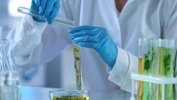 瑪麗安妮姬評價