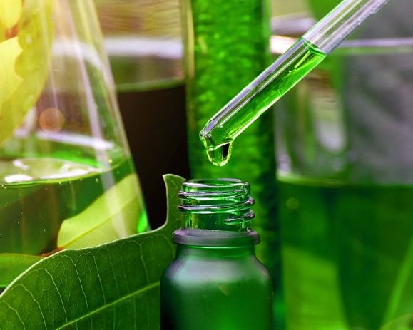 瑪麗安妮姬使用心得