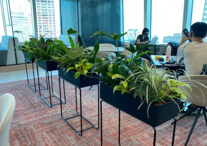 辦公室放花 辦公室放花