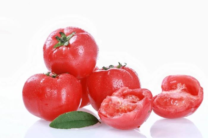 番茄樹栽培方法