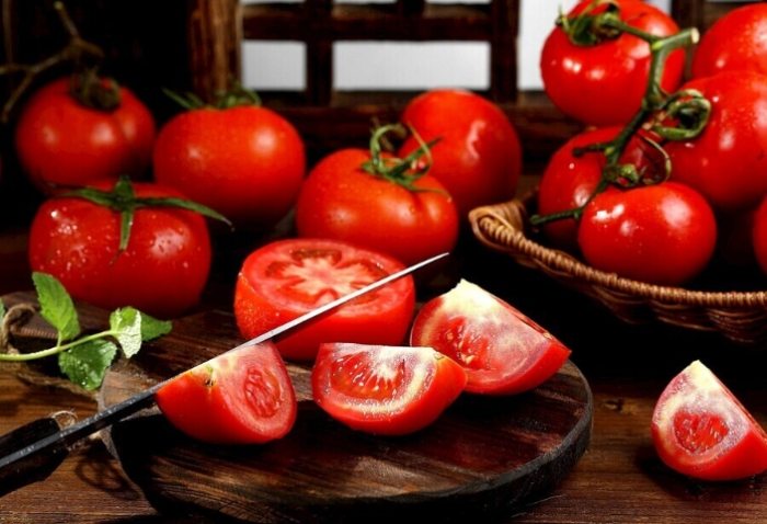 番茄發芽問題 番茄發芽問題