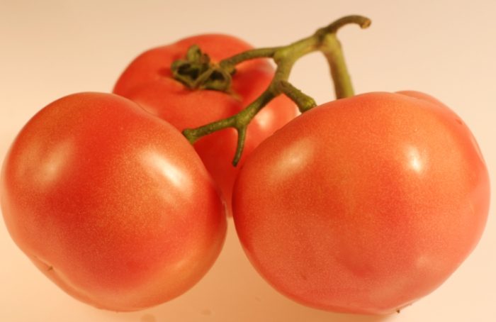 番茄發芽方法 番茄發芽方法