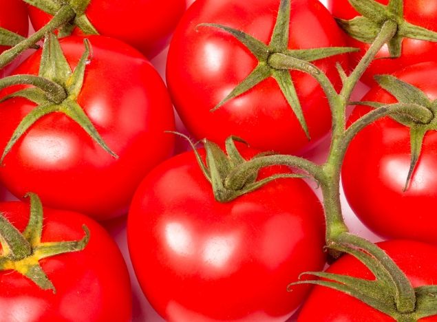 番茄種子發芽時間 番茄種子發芽時間