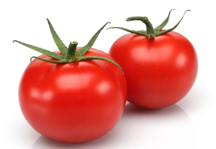 番茄苗生長停滯