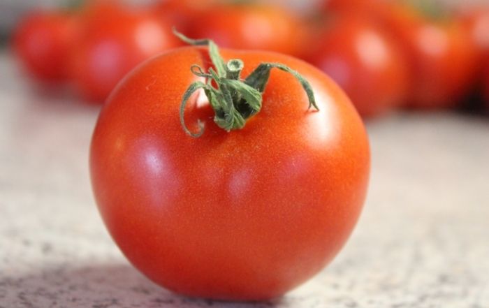 番茄種植方法 番茄種植方法