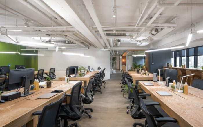 辦公室植物推薦