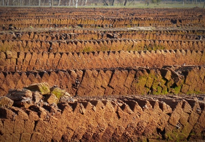泥炭土種菜優缺點