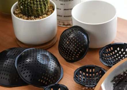 盆底健康替代方案