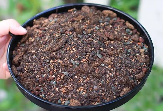 泥炭土園藝配方