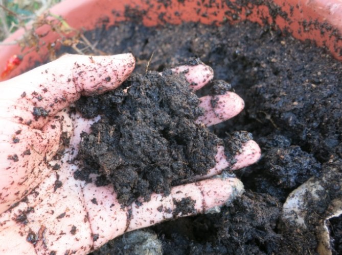 泥炭土使用技巧