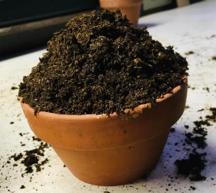 珍珠石使用方法