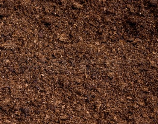 泥炭土使用技巧