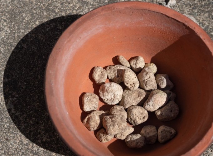 盆底肌肉訓練替代