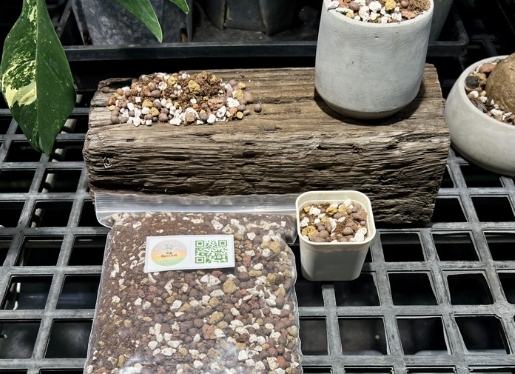 多肉植物土壤配方