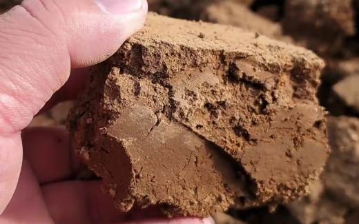 赤玉土使用問題