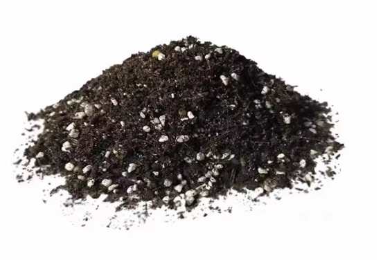 仙人掌換盆方法