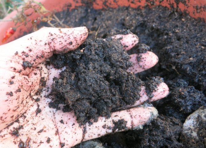 泥炭土與培養土比較