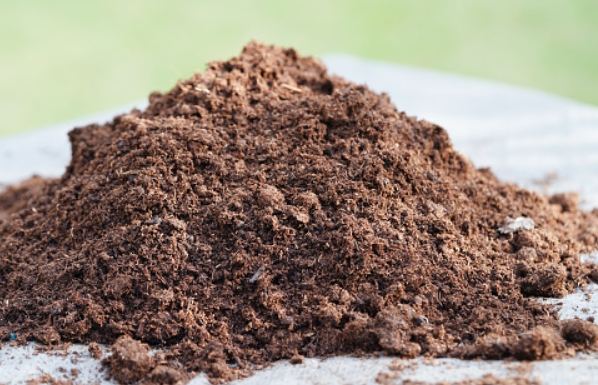 泥炭土與培養土比較