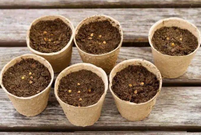 泥炭土園藝配方