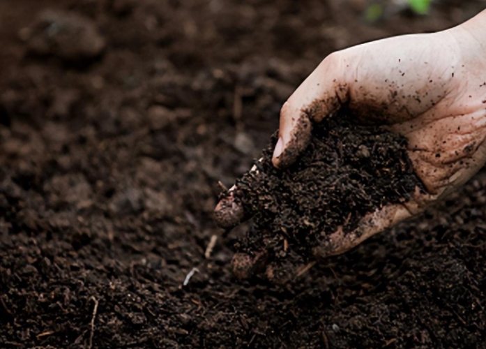 泥炭土混合比例